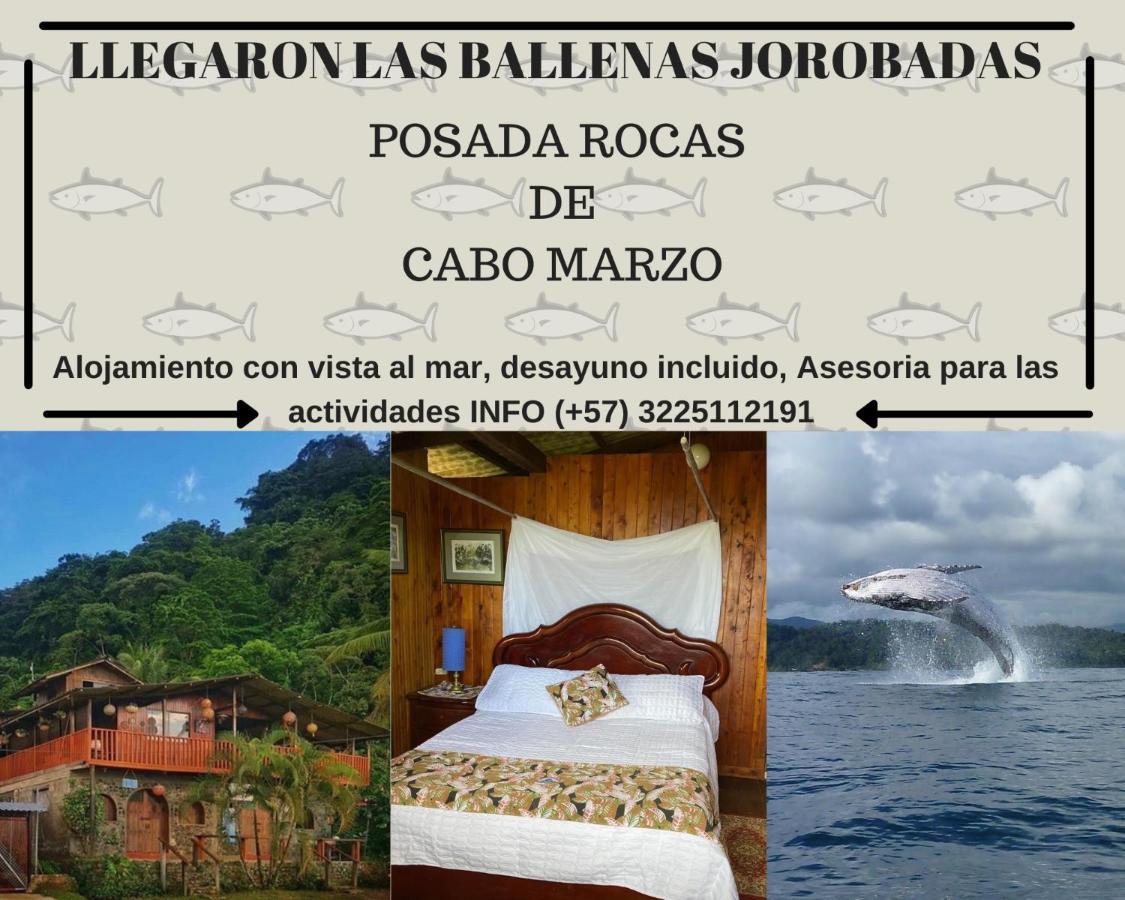 Posada Turistica Rocas De Cabo Marzo باهيا سولانو المظهر الخارجي الصورة